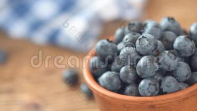 饮食和健康饮食概念-蓝莓
